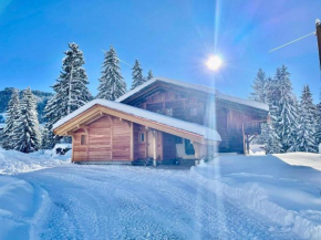 Chalet montagnard chaleureux avec poêle, terrasse et animaux acceptés - FR-1-505-154